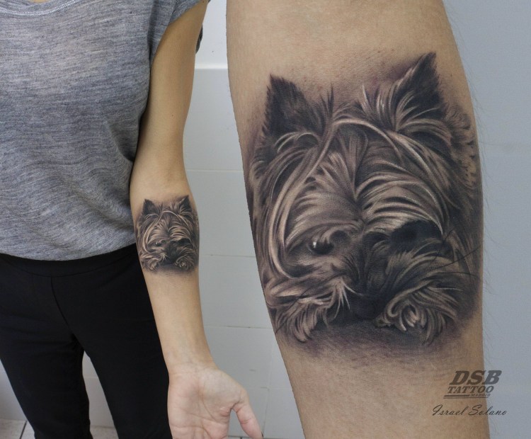 Тату Йоркширский терьер