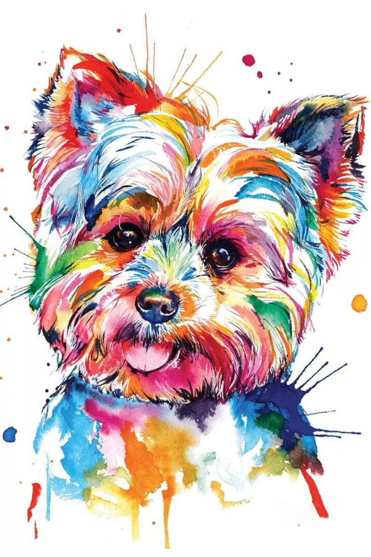 Раскраска Йоркширский терьер