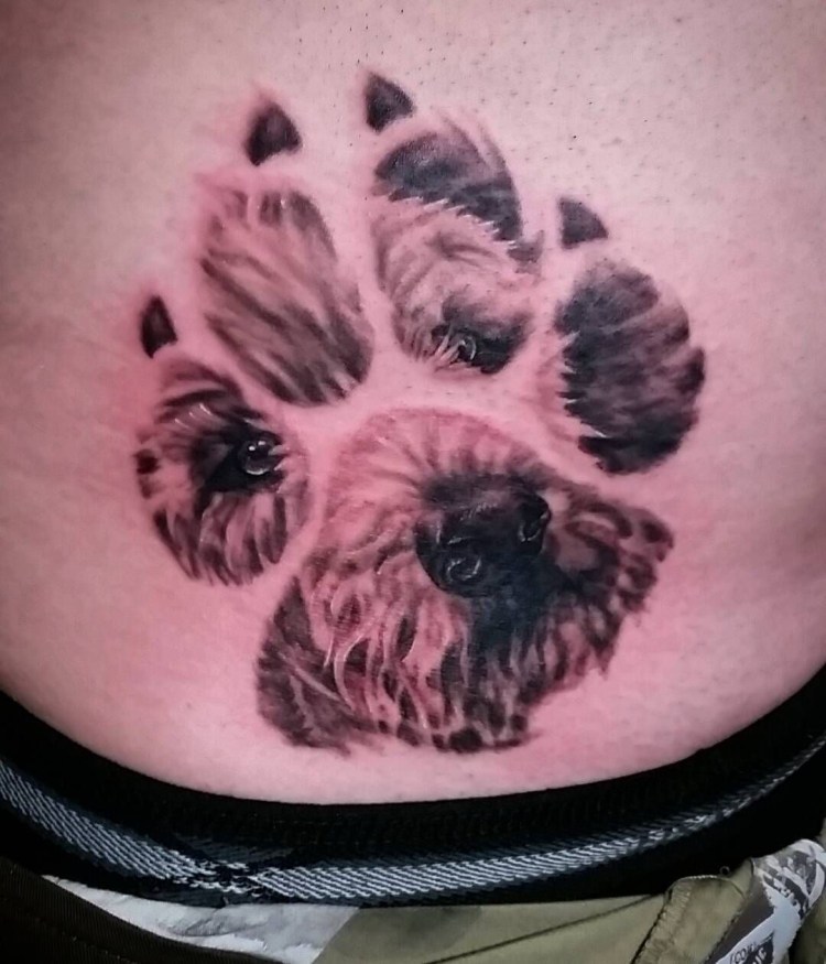 Трафарет Йоркширский терьер