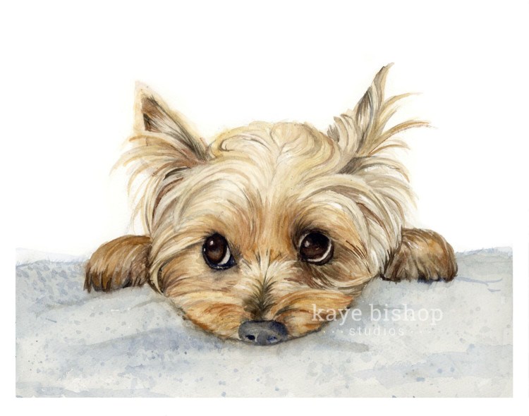 Красивые тату с йорками