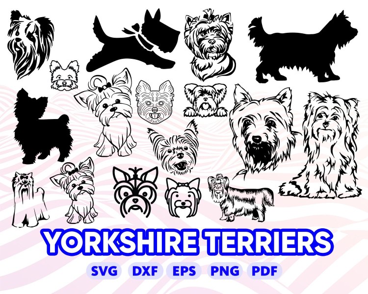 Силуэт йоркширского терьера в векторном рисунке