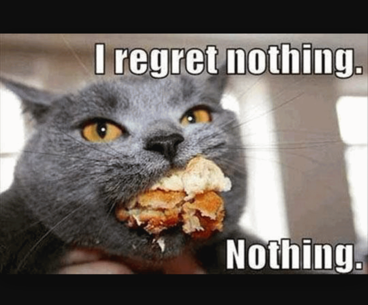 Кот с блинами