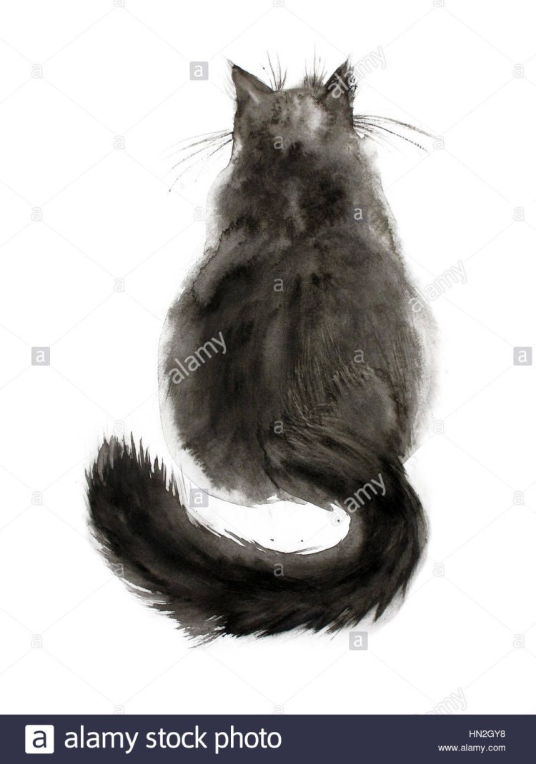 Черный кот сидит спиной