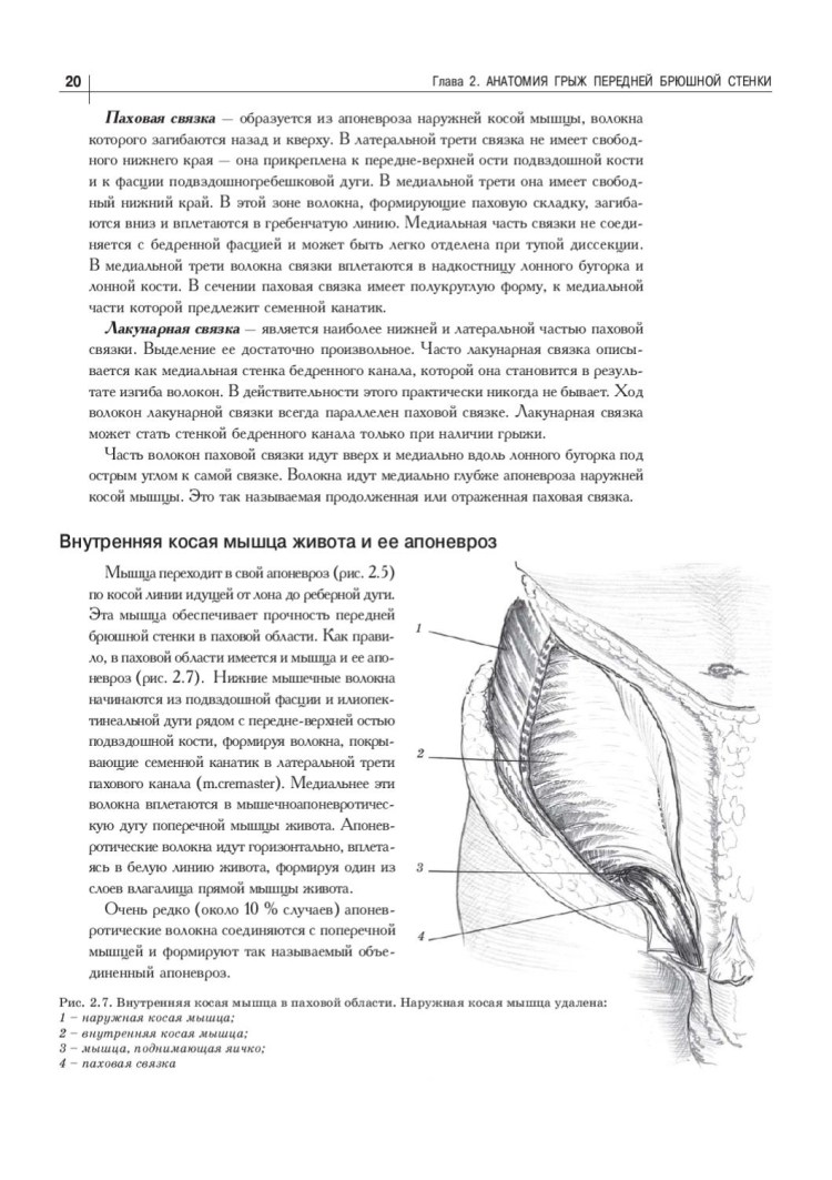 Ленивый доги