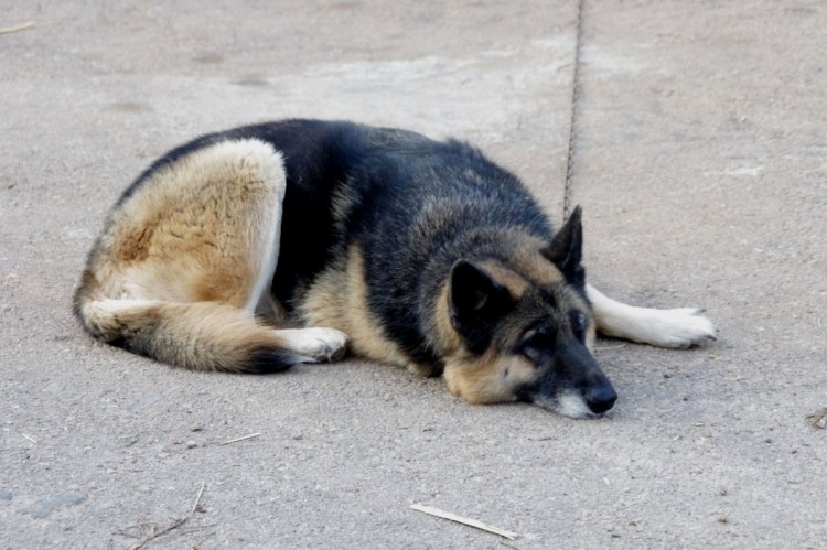 Угол Норберга