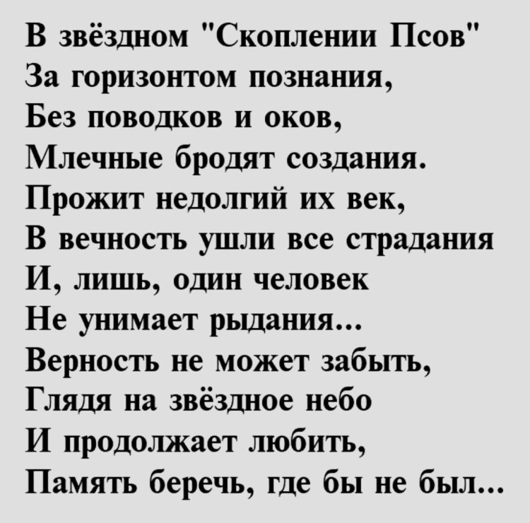 Рот ф. "умирающее животное"