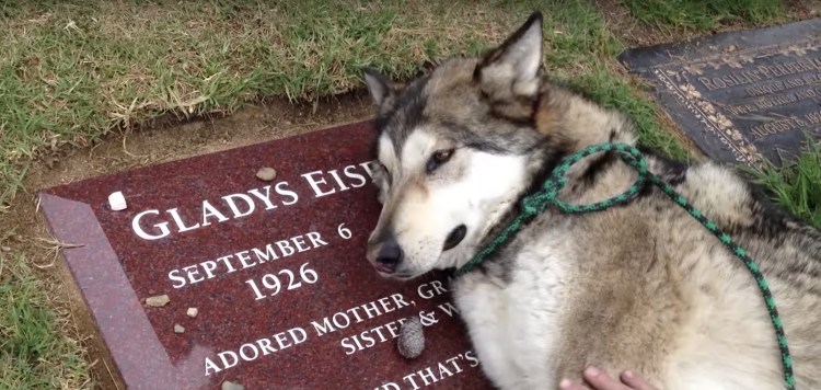 Кладбище Гринвуд