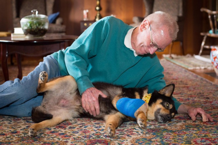 Собака Хатико ждет хозяина