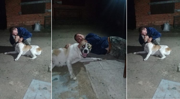 В память о собаке