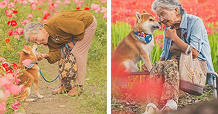 Люди и животные