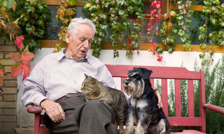 Женщина на санках