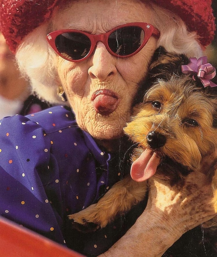 Бабушка с собакой