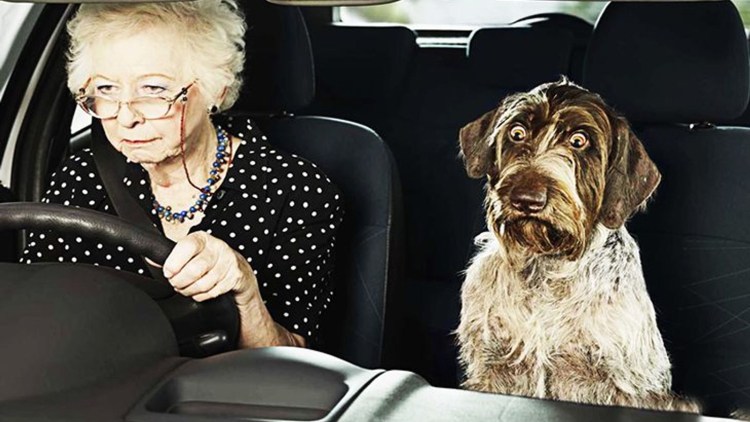 Пожилая женщина за рулем