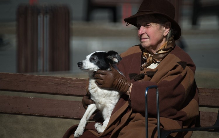 Собака и старый человек