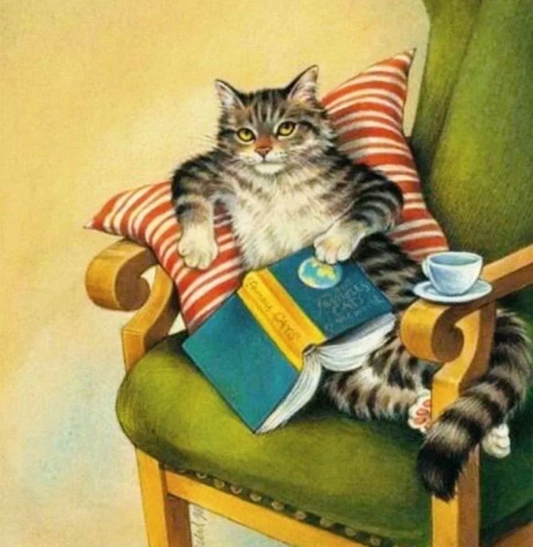 Котик с книжкой