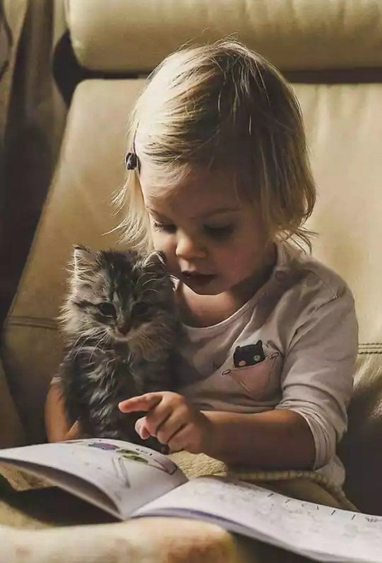 Книга для детей про кота