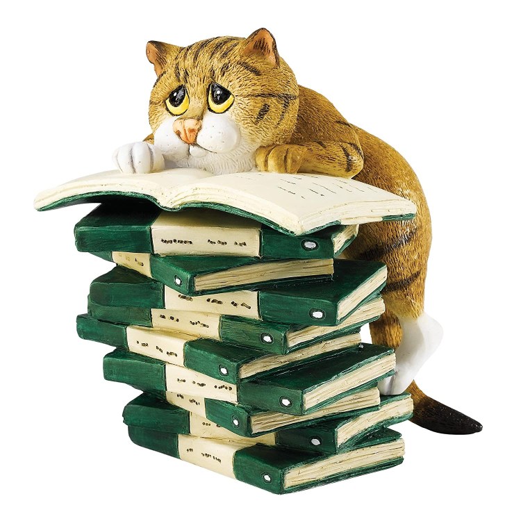 Кот с книгой