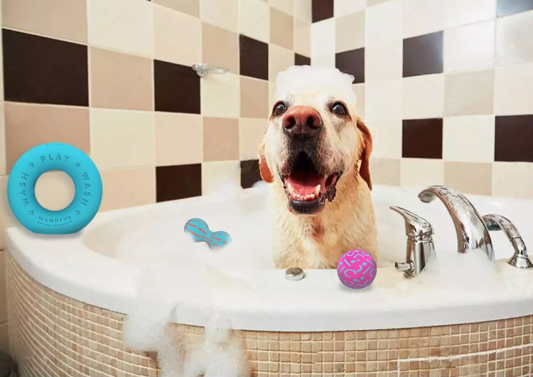 Фотобанк собака в ванной