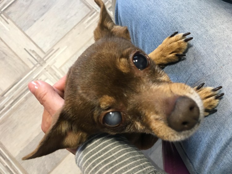 Эозинофильный кератоконъюнктивит