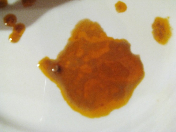 Парвовирусный энтерит собак