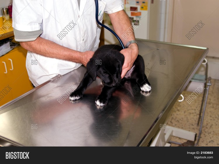 Ошметки кровяные в моче