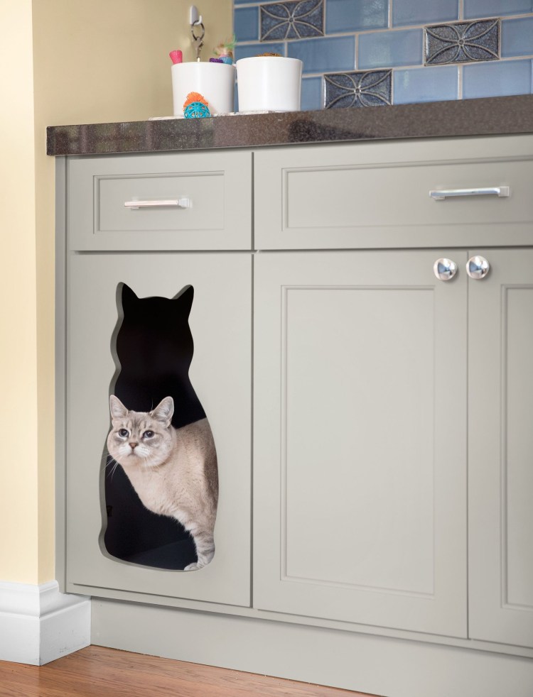 Место для кошки на кухне