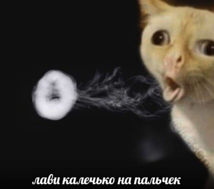 Кошачья блевотина с шерстью