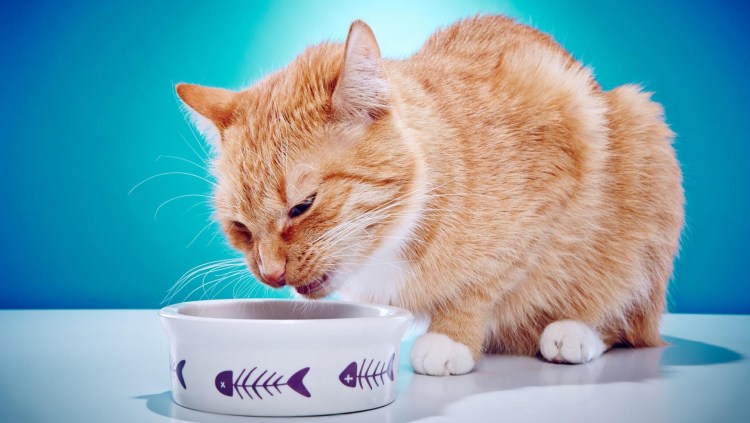 Кастрюля юмор