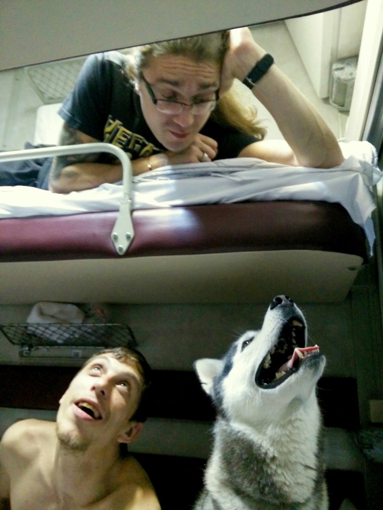 Перевозка домашних животных в поезде