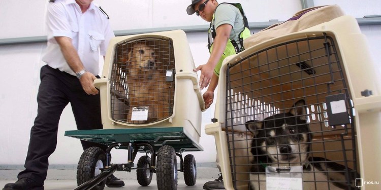 Ведомственная охрана открытки