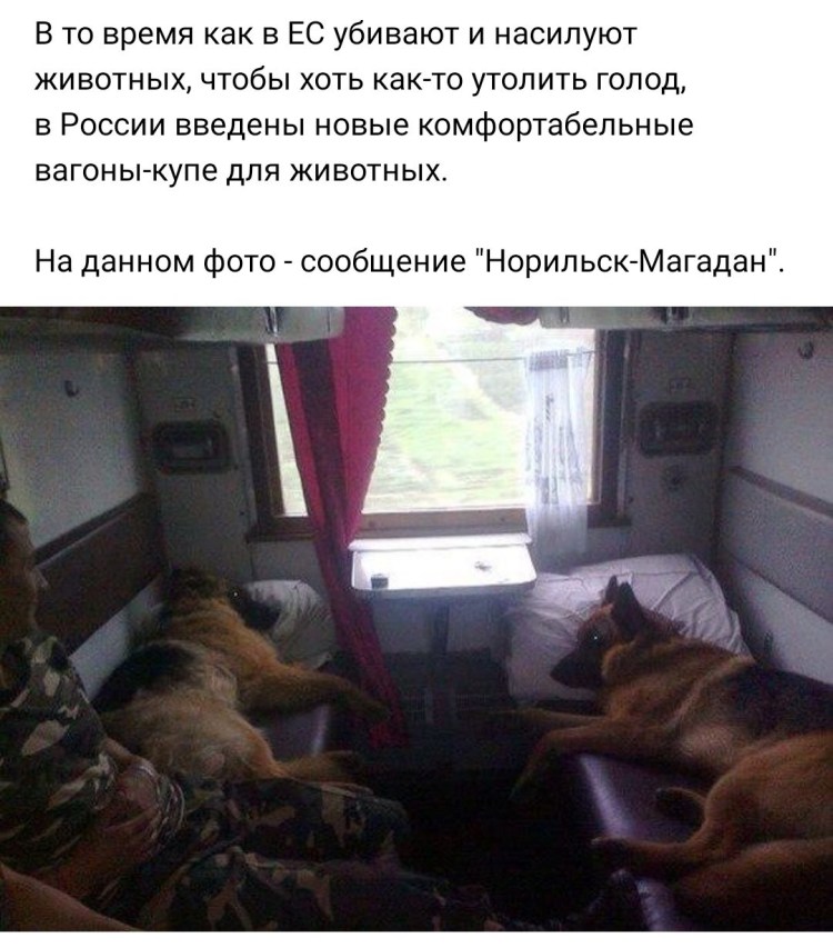 Ведомственная охрана ЖДТ охрана грузов