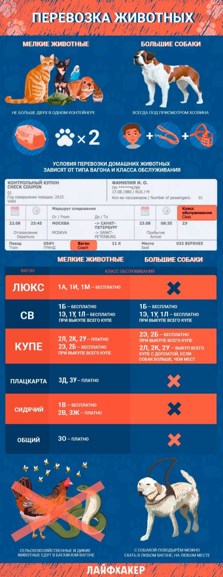 Отделение для животных в самолете