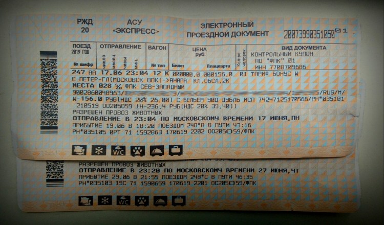 Авиаперевозка животных