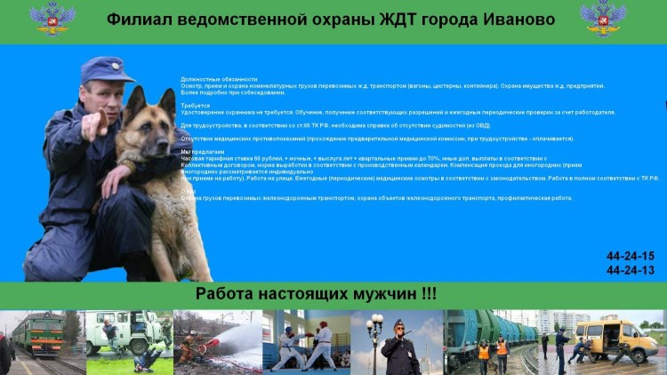 Кошка в поезде