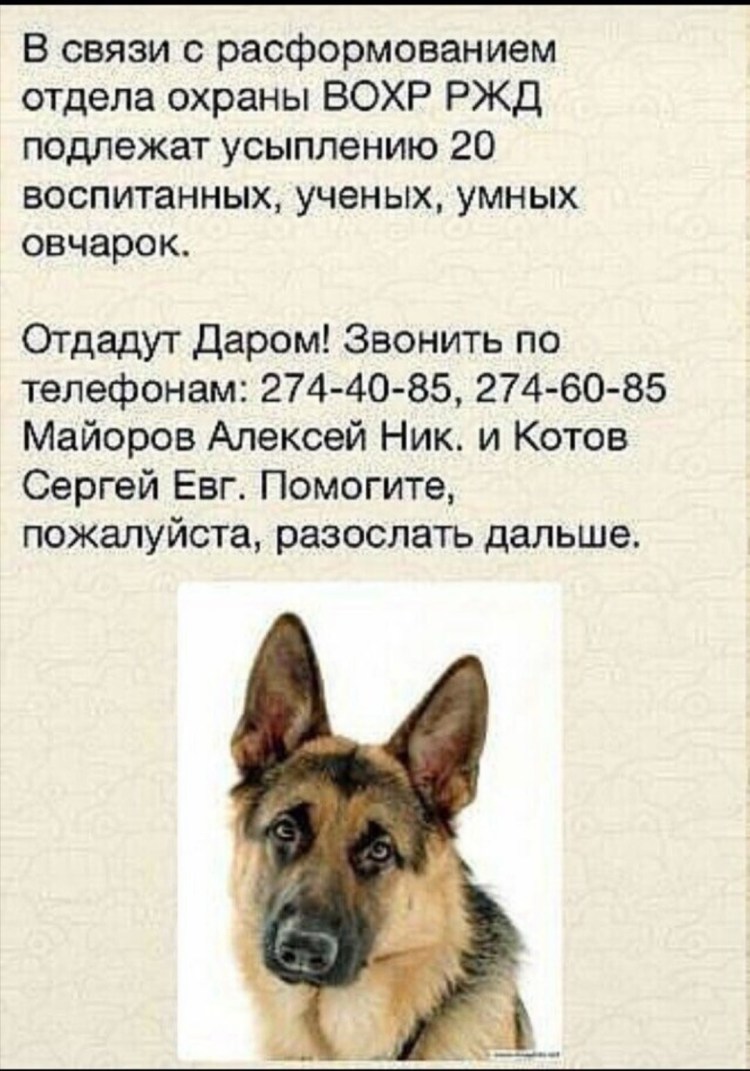 Переноска Ferplast Atlas 40 professional