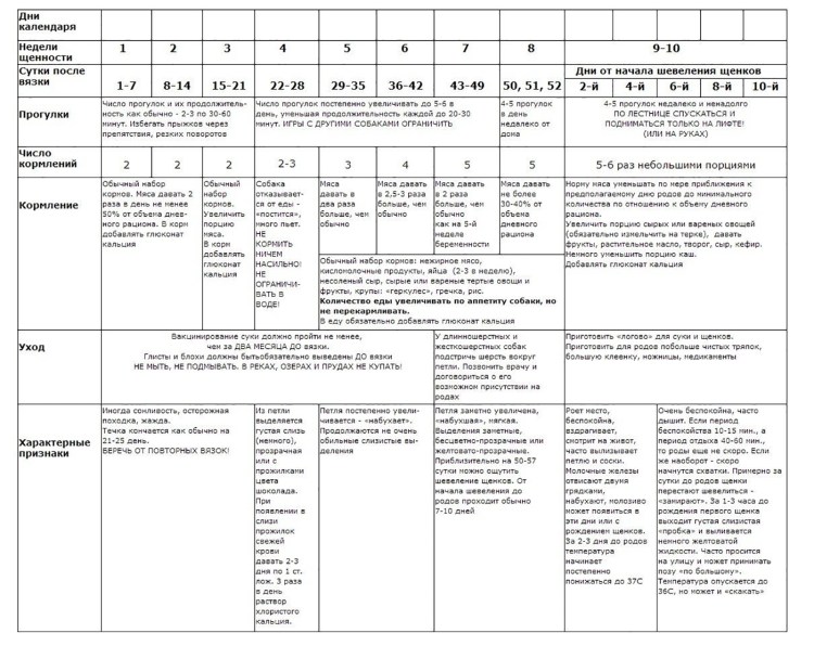 Беременность у собак по дням таблица