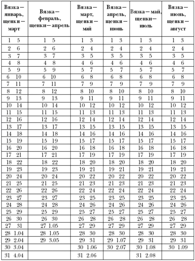 Таблица беременности собаки