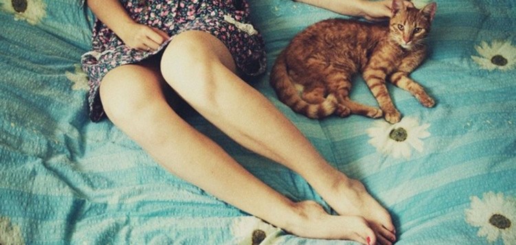 Кот на коленках