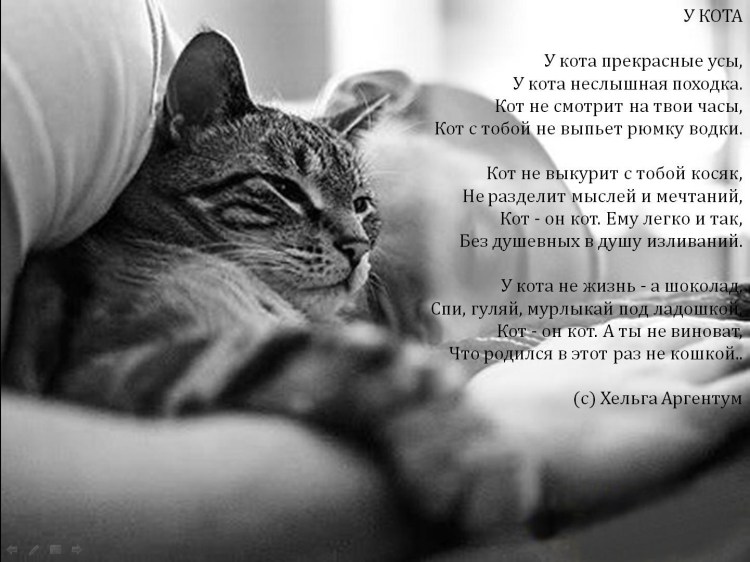 Парень спит с котом