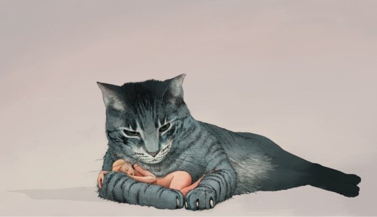 Серый кот на коленях