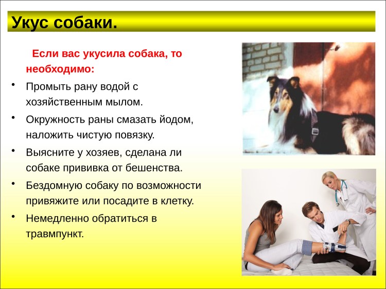 Сила укуса малинуа