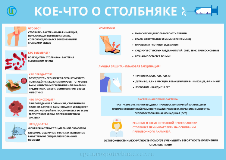 Агрессивная собака