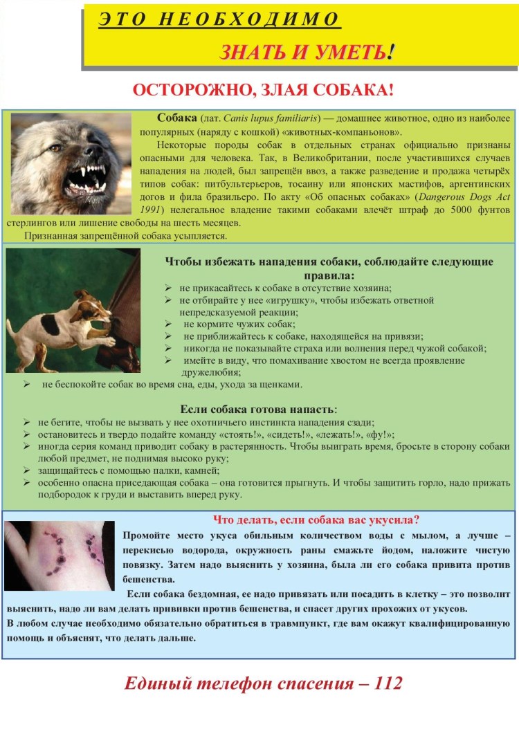 Симптомы бешенства у человека после укуса