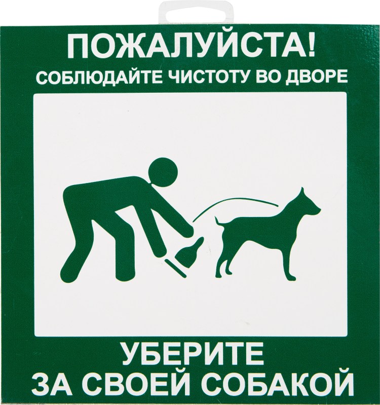 Собака гадит