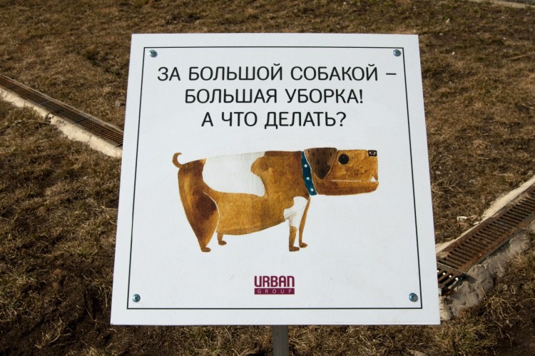 Леонская овчарка