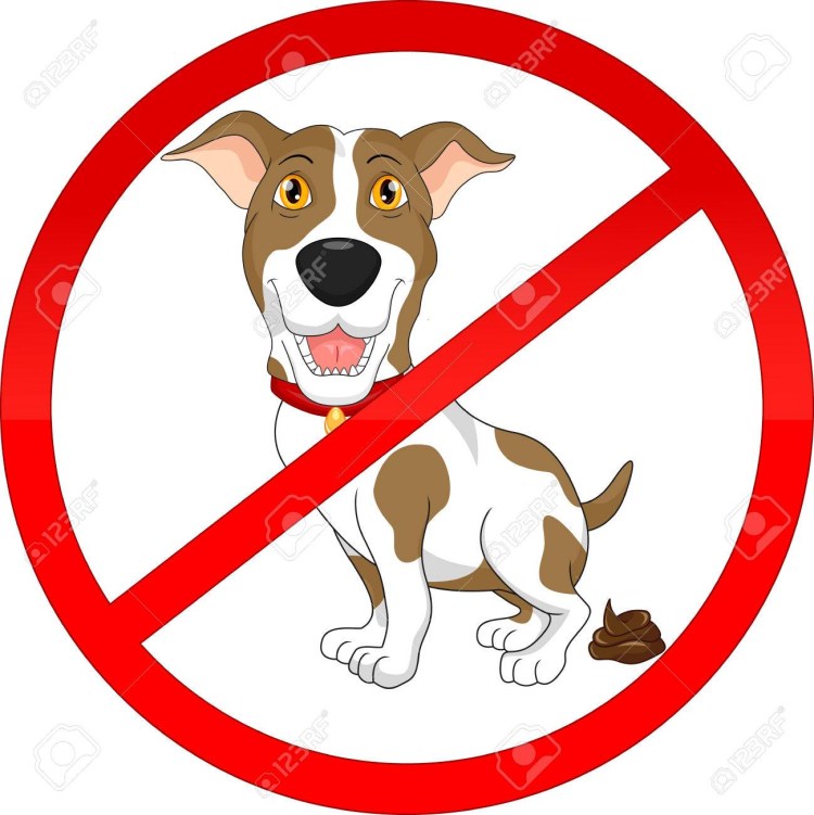 Собака какает собака какает