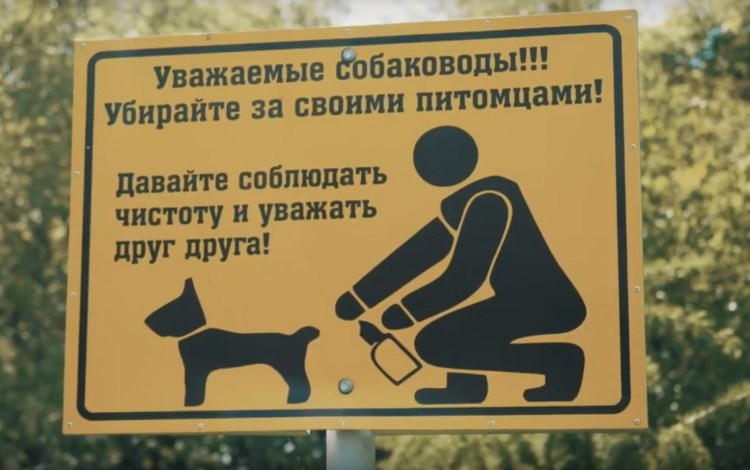 Животные на ковре