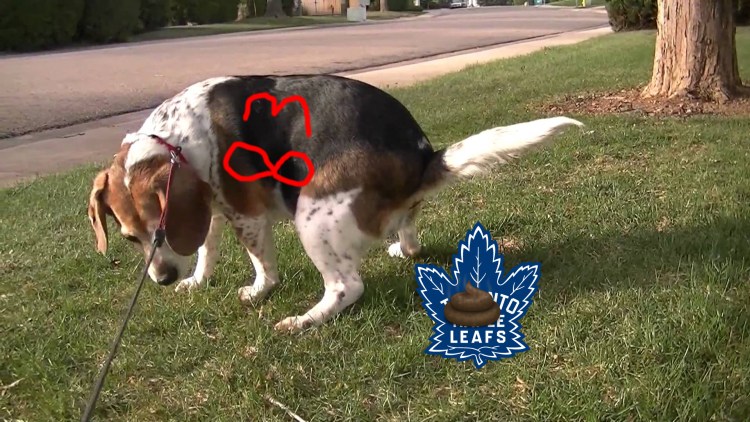 Запрещенные собаки