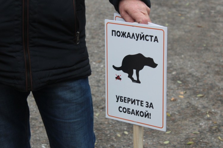 Убирать за собакой