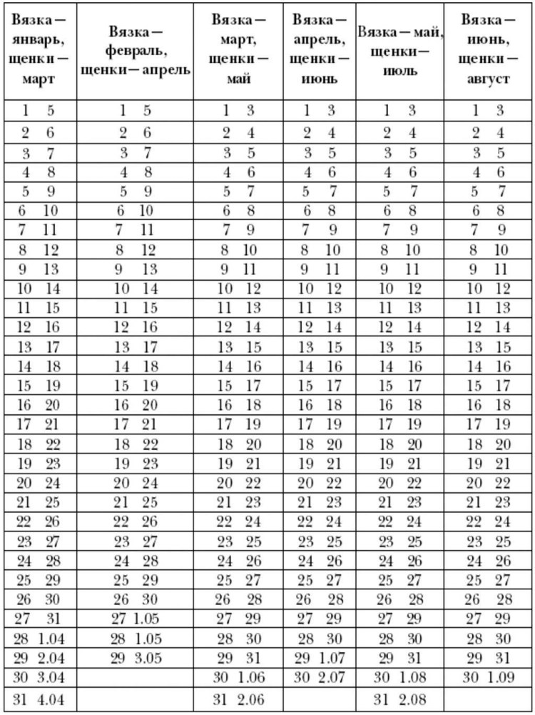 Породы собак названия русские